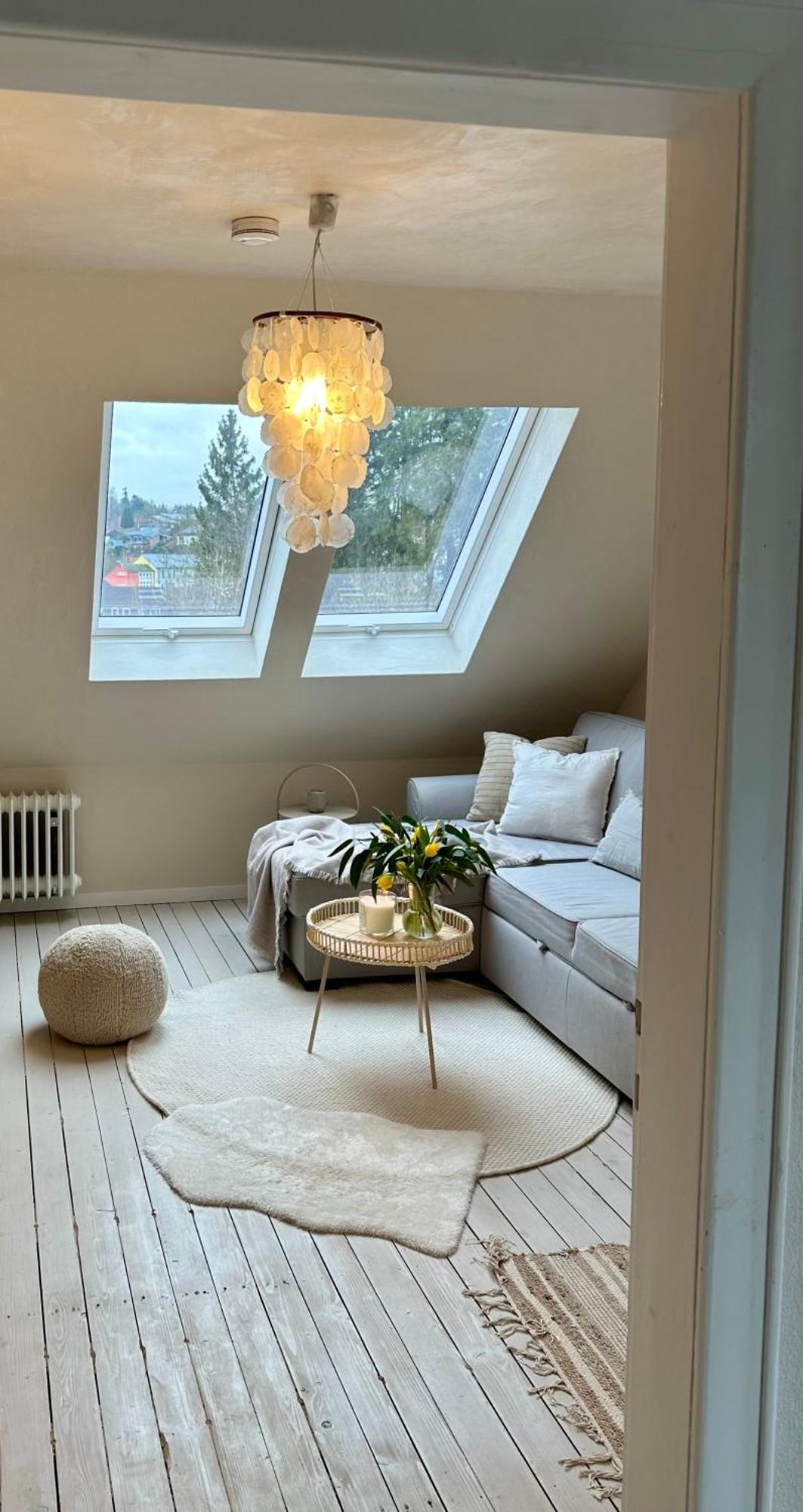 Cozy - Daun